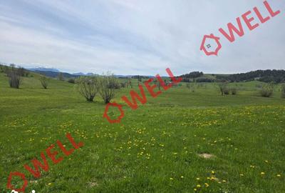 Teren de 6519 mp, în Barcani - 3