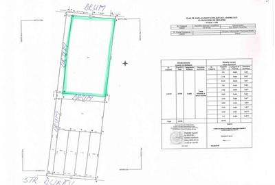 Teren Construcții intravilan de 8729 mp, în Griviței - 5