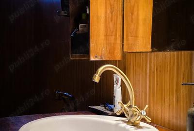 Garsoniera dubla de vanzare, zona Bulevardul Castanilor - 9