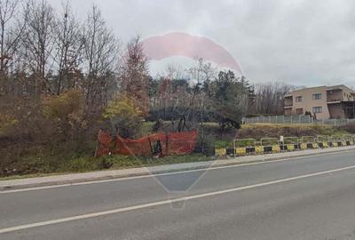 Oportunitate investi?ie B. Felix teren intravilan cu PUZ 1157 mp DN 76 - 6