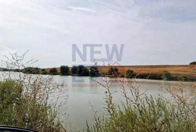 Teren de vanzare de 11.068 mp extravilan arabil in zona Belciugatele - zona lac - 4