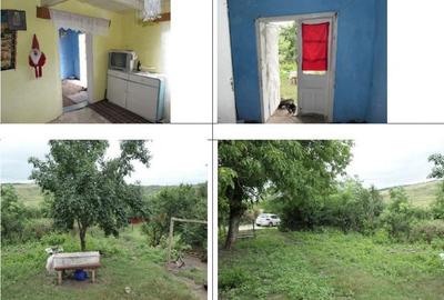 Casă cu 2 camere cu Teren 2361 Mp în Costinești - 8