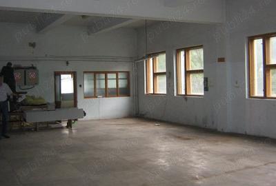 Spațiu comercial, de 590 mp, în Vatra Dornei - 3