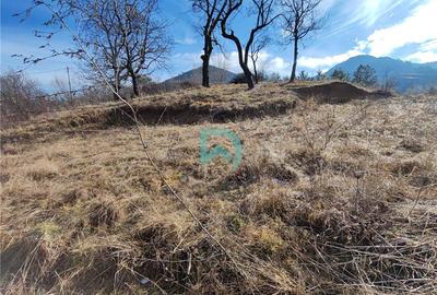 Teren intravilan de 850 mp, în Baciu - 5