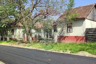 Casa solida cu teren 1081 mp Siria soseaua principala spre Cetate - 12