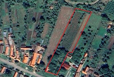 Casă cu 3 camere în Zăuan - 3