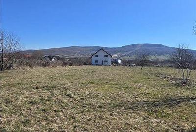 Teren de 1250 mp, în Unirea - 4