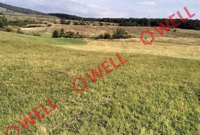 Teren de 11900 mp, în Central - 2