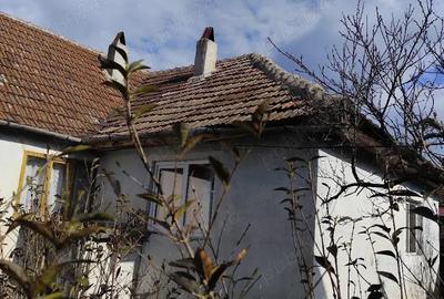 Casă cu 5 camere cu Teren 2200 Mp în Coșdeni - 4