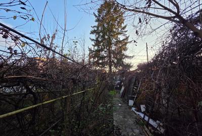 Damaroaia 4 camere casa veche - 4