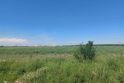 Vanzare Teren Ciorogarla- Strada Viitorului - 4
