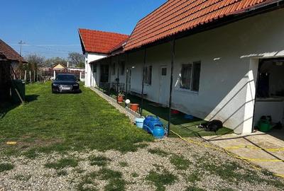 Casă cu 2 camere cu Teren 1500 Mp în Oar - 3