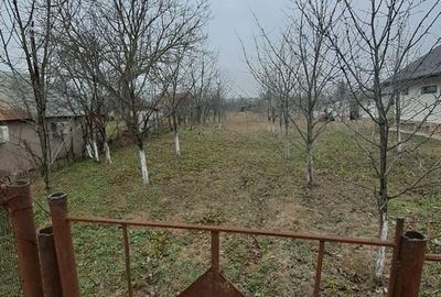 Comuna Bulbucata, Loc de casa la 27 km de Bucuresti, DN6, sat Facau, 1265mp - 3