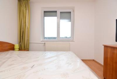 INCHIRIERE APARTAMENT 2 CAMERE DRISTOR - AUREL BOTEA - 13