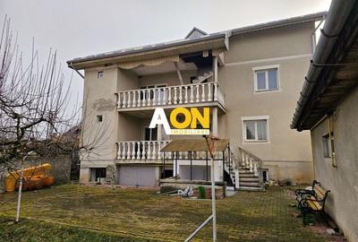 Casă individuală cu 10 camere în Bărăbanț