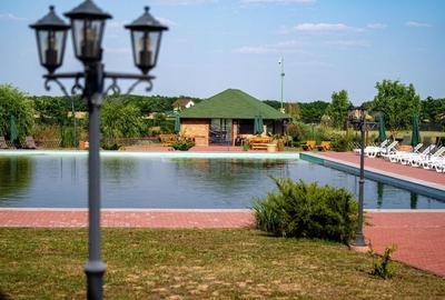 Sala de evenimente cu  piscina si foisor Biled COMISION 0 % CUMPARATOR - 8