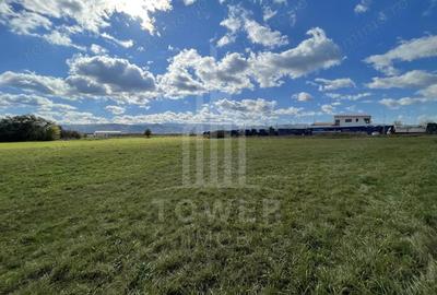 Teren de 6000 mp, în Cristian - 2