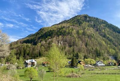 Teren panoramic insorit, utilitati, panta mica si padure, turism sau vacanta - 2