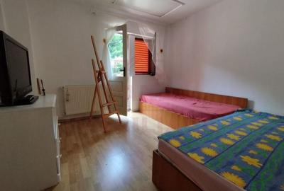 CASĂ DE VÂNZARE ÎN POUANA MĂRULUI,JUD. CARAȘ-SEVERIN - 5