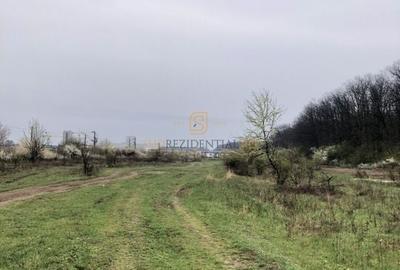 Teren de vânzare 10.028 mp - Mogoșoaia, lângă Pădurea Motoc - 5