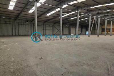 Royal Imobiliare - Inchiriere spatiu industrial zona Exterior Vest - 5