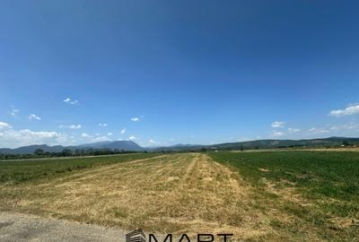 Teren de 5000 mp, în Râșnov Romacril - 1