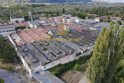 Spațiu industrial, de 21,018 mp, în Exterior Vest - 6