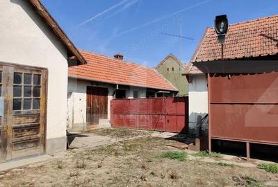 Casa mare cu gospodarie completa Belin?, jude?ul Timi? teren 4.900 mp - 9