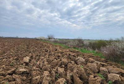 Teren de 3800 mp, în Moșnița Nouă