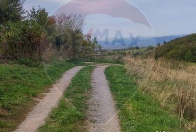 Teren de 3082 mp, în Damiș - 9