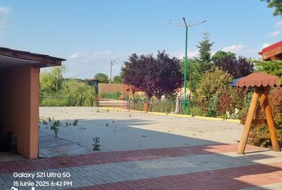 Casă cu 10 camere cu Teren 6000 Mp în Bulbucata - 14