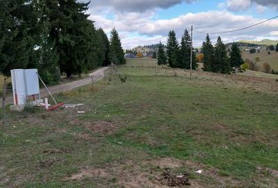 Teren de 10450 mp, în Tiha Bârgăului - 6