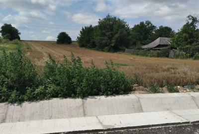 Teren de 5400 mp, în Filipești - 1