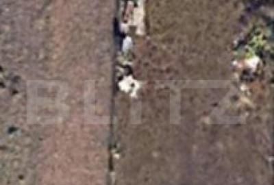 Teren de vanzare, 916mp, front 15m, Avram Iancu - 2