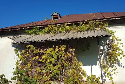 Casă cu 5 camere cu Teren 1000 Mp în Ușurei - 1