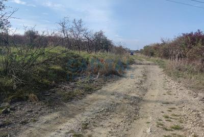 Teren extravilan 2000mp, front 50m, priveliste superba, Feleacu,  Wonderland - 2