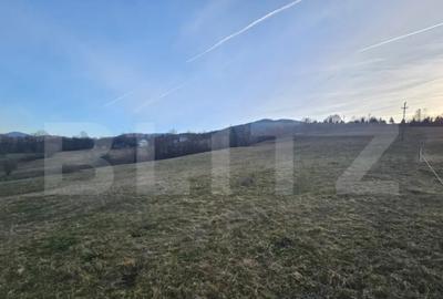 Teren de 16667 mp, în Abrud-Sat - 3