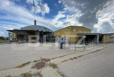 Hala+birouri, 15533mp utili, teren 21323mp, Freidorf - 2