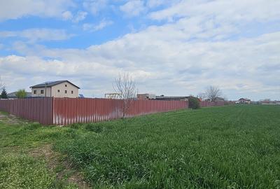 Magurele, Varteju - 6