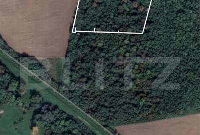 Teren de 10000 mp, în Șag