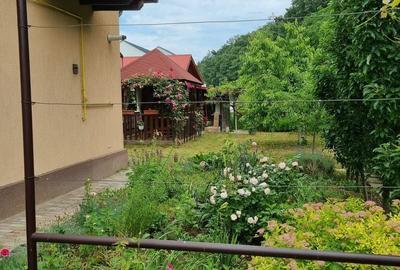 Casă cu 4 camere în Tamași - 8