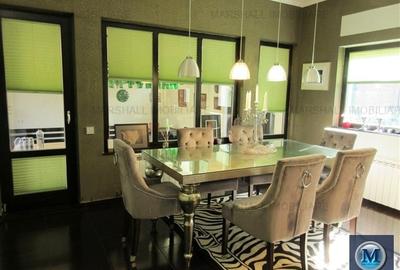 Vila cu 4 camere de vanzare, zona Ultracentral, 332 mp #14427 - 14