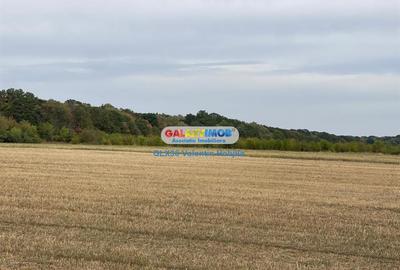 Teren Construcții intravilan de 3300 mp, în Periș - 1