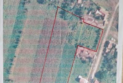 Spațiu comercial, în Zăuan - 1