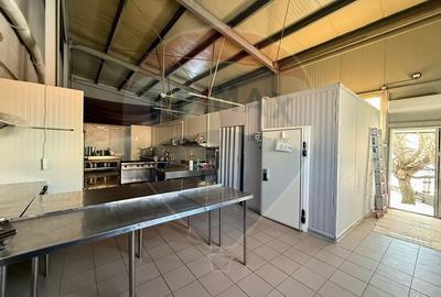 Ofertă de inchiriat spațiu industrial 110 mp, Brașov, Uzina 2 - 9