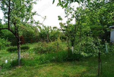 Teren de 1161 mp, în Făget - 5