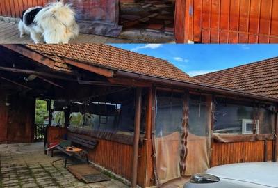 Casă cu 4 camere în Luța - 3