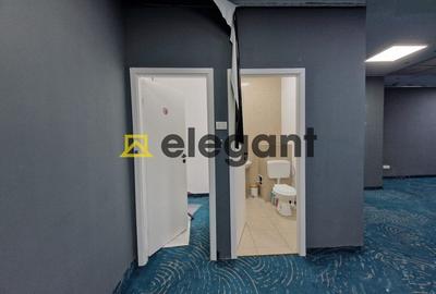 Spatiu comercial, 100 mp, George Enescu-Lidl - 9