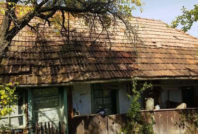Casă cu 2 camere în Negreni - 5
