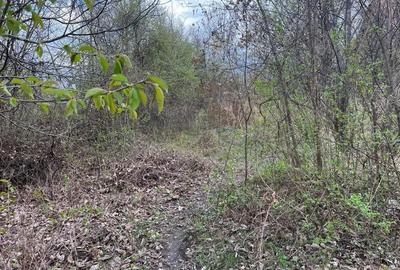 Breaza - str. Plaiului, teren 1400 mp - 11